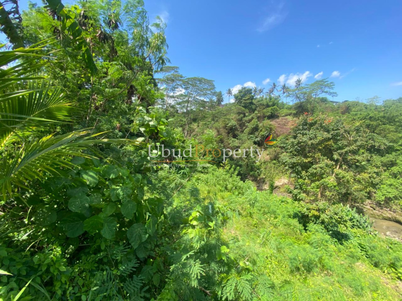 Ubud Property Land For Sale in Ubud Bali