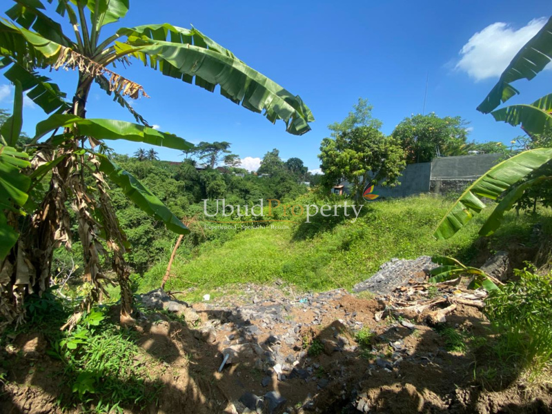 Ubud Property Land For Sale in Ubud Bali