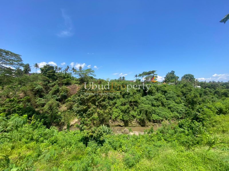 Ubud Property Land For Sale in Ubud Bali