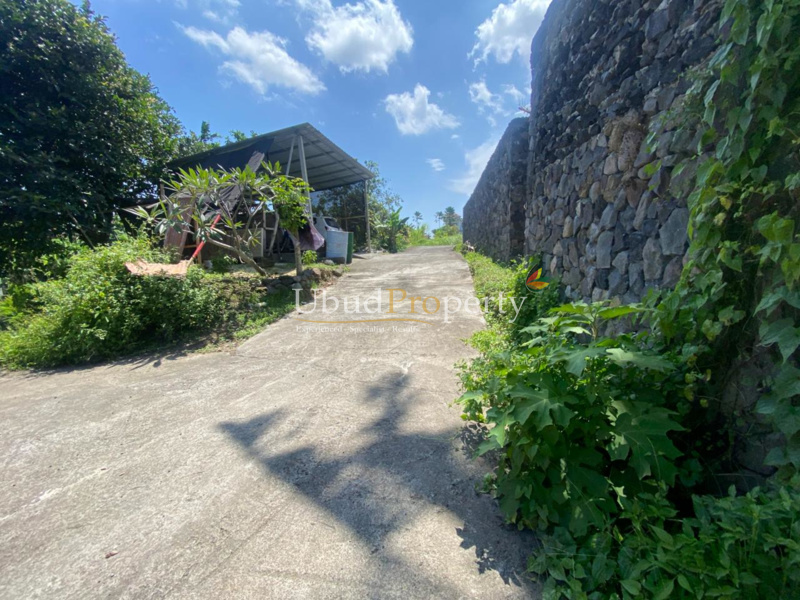 Ubud Property Land For Sale in Ubud Bali