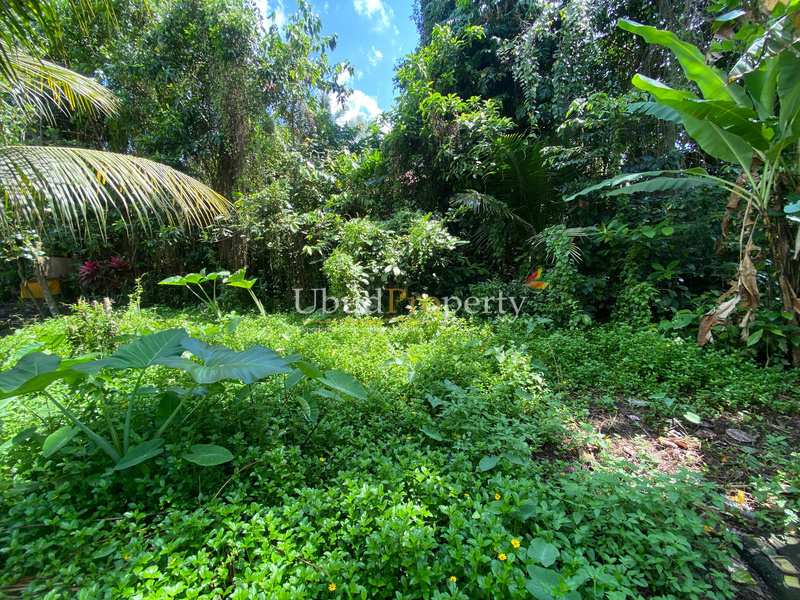 Ubud Property Land For Lease in Ubud Bali