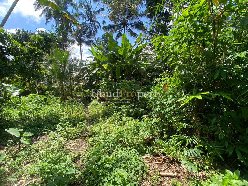 Ubud Property Land For Lease in Ubud Bali