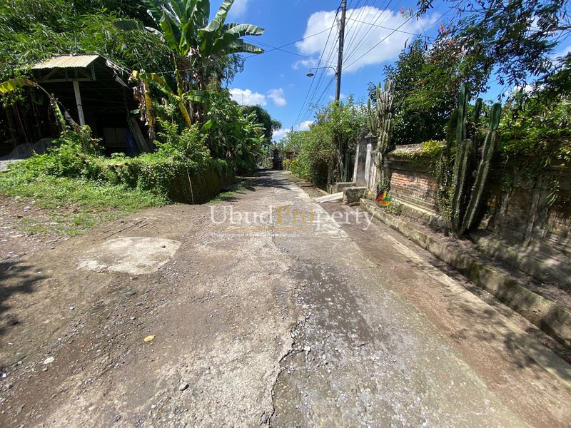 Ubud Property Land For Lease in Ubud Bali