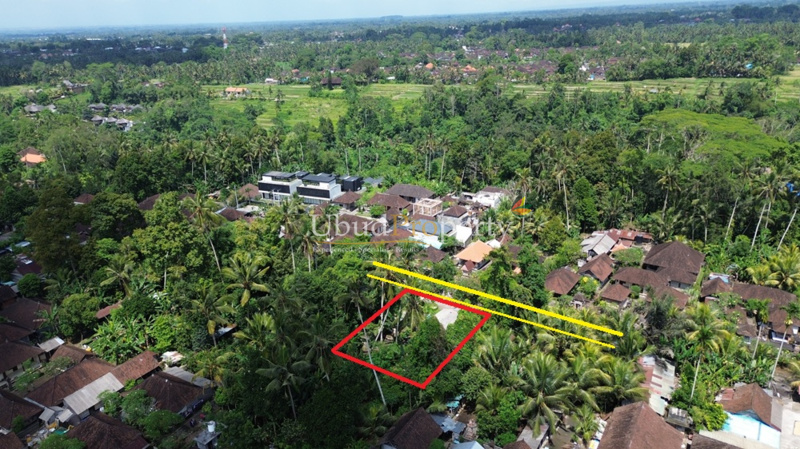 Ubud Property Land For Lease in Ubud Bali