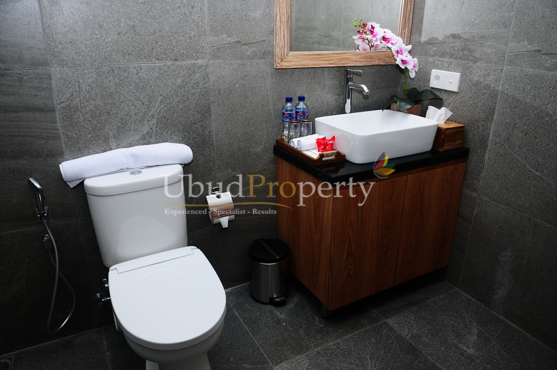 Ubud Property Villa For Sale in Ubud Bali