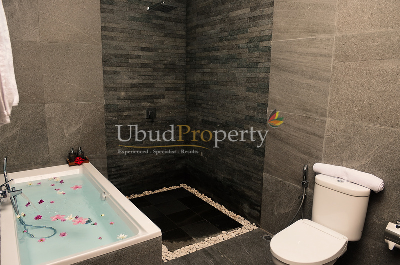 Ubud Property Villa For Sale in Ubud Bali