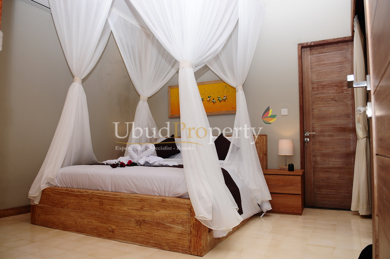 Ubud Property Villa For Sale in Ubud Bali