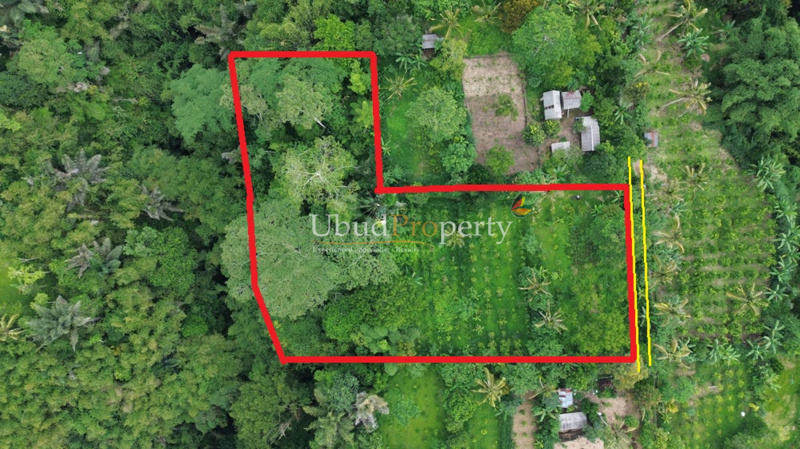 Land For Sale Freehold in Ubud Bali
