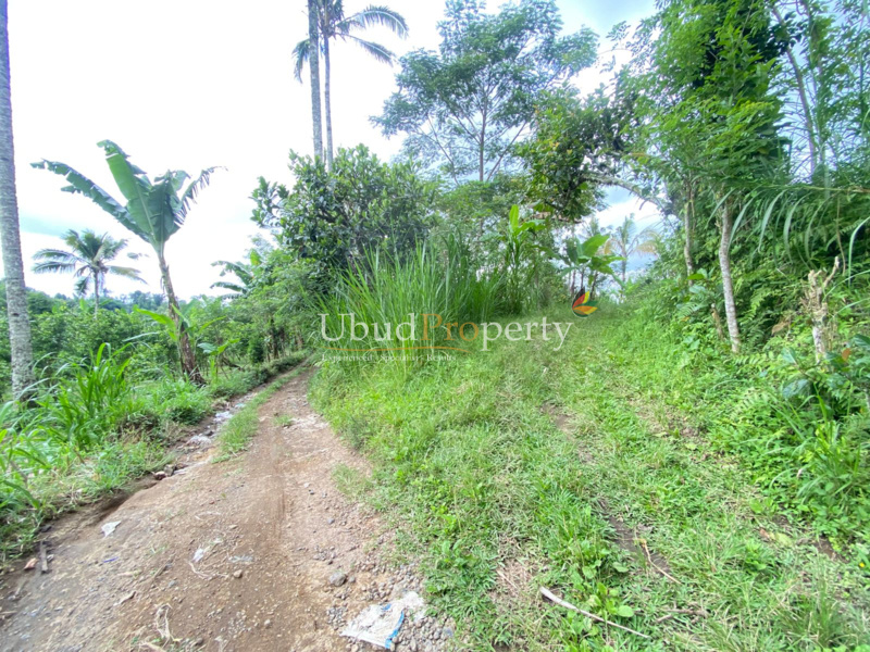 Ubud Property Land For Sale in Ubud Bali