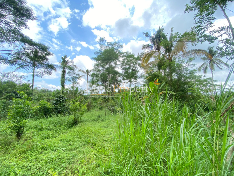 Ubud Property Land For Sale in Ubud Bali