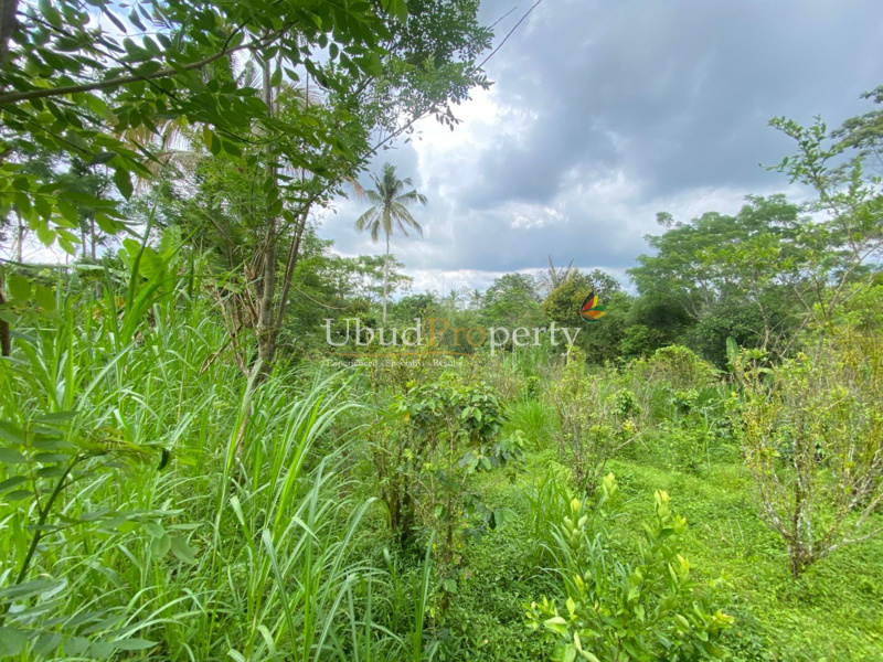 Ubud Property Land For Sale in Ubud Bali