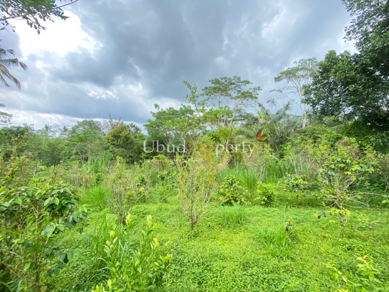 Ubud Property Land For Sale in Ubud Bali