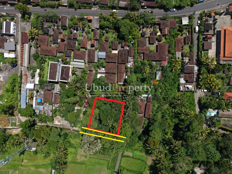Land For Sale Leasehold in Ubud Bali