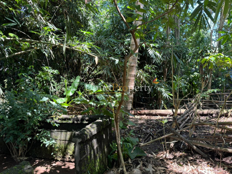 Ubud Property Land For Sale in Ubud Bali