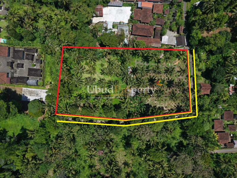 Ubud Property Land For Lease in Ubud Bali