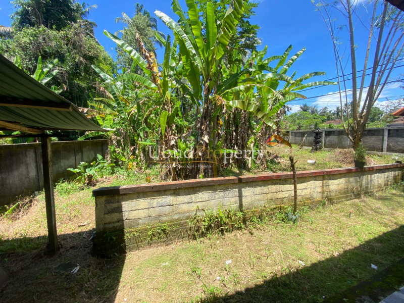 Ubud Property Land For Sale in Ubud Bali
