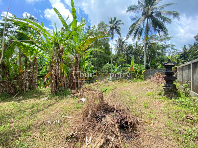 Ubud Property Land For Sale in Ubud Bali