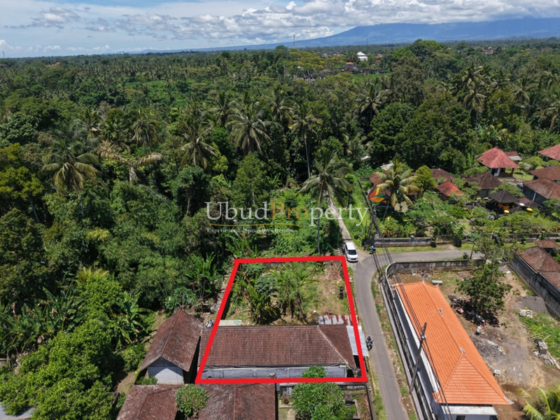 Ubud Property Land For Sale in Ubud Bali