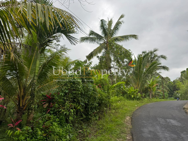 Ubud Property Land For Sale in Ubud Bali