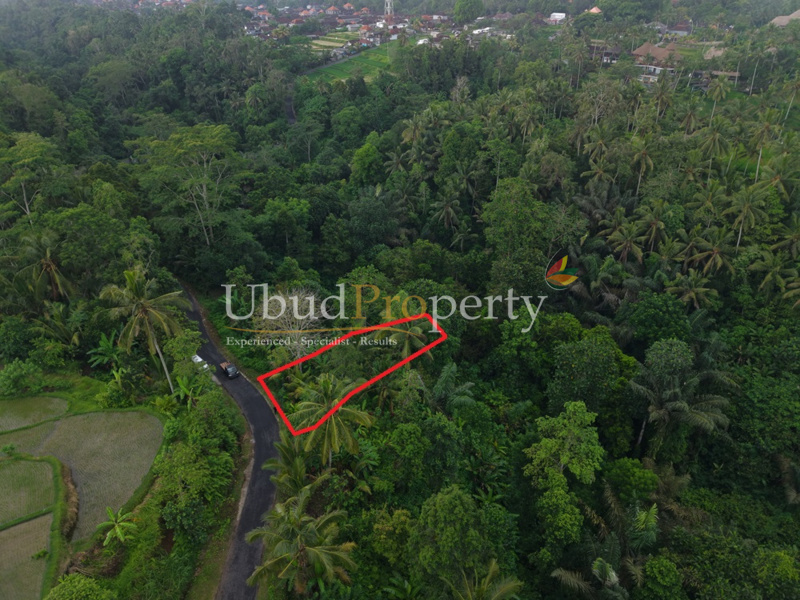 Ubud Property Land For Sale in Ubud Bali