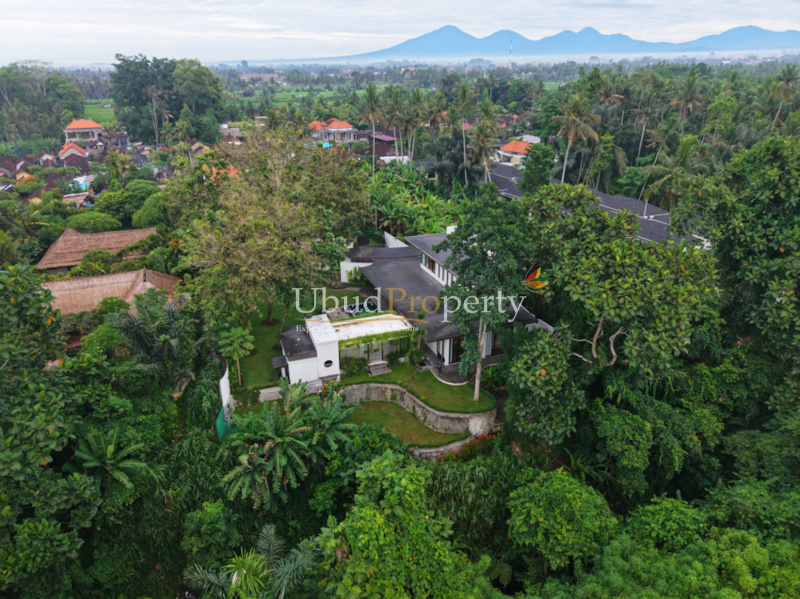 Ubud Property Villa For Sale in Ubud Bali