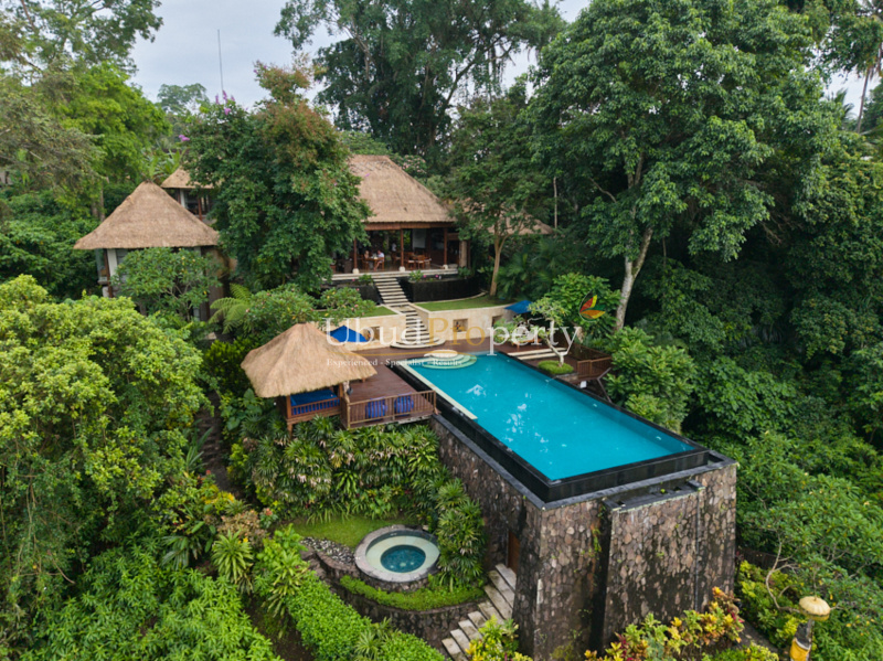 Villa For Sale Freehold in Ubud Bali