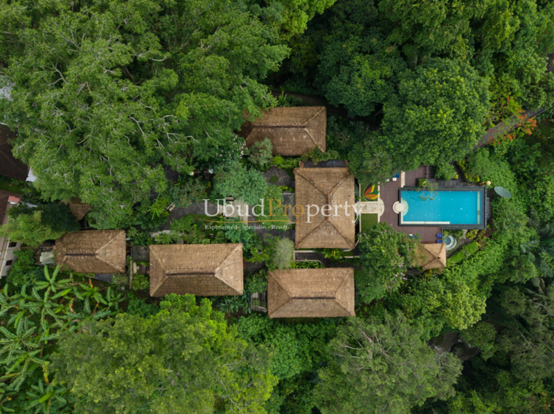 Ubud Property Villa For Sale in Ubud Bali