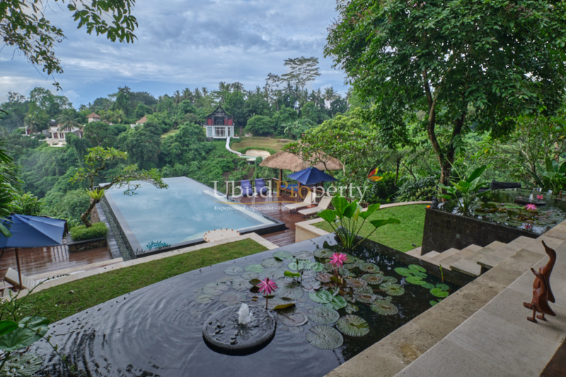Ubud Property Villa For Sale in Ubud Bali