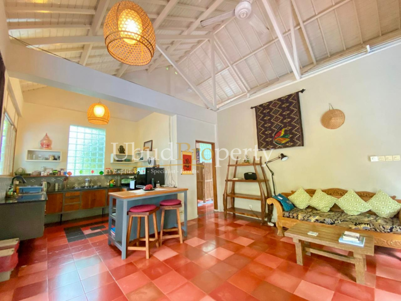 Ubud Property Villa For Sale in Ubud Bali