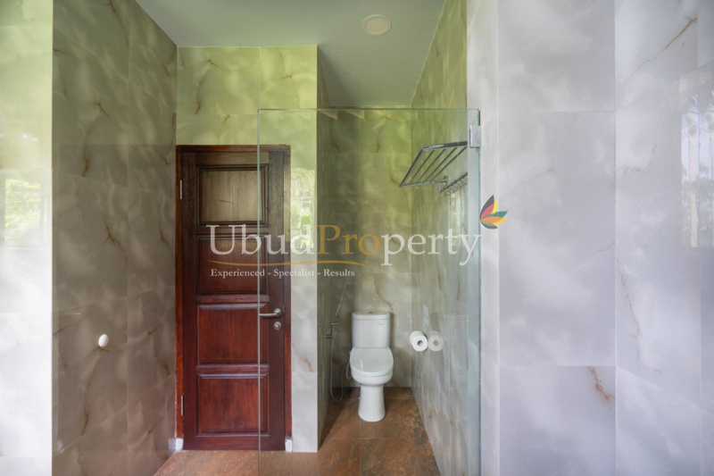 Ubud Property Villa For Sale in Ubud Bali