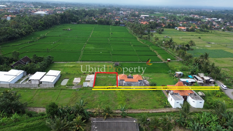 Ubud Property Land For Sale in Ubud Bali
