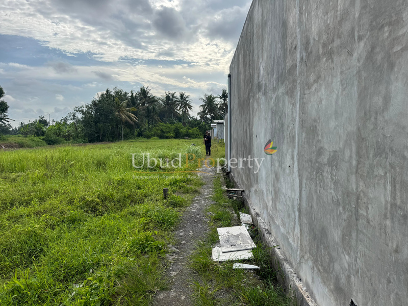 Ubud Property Land For Sale in Ubud Bali