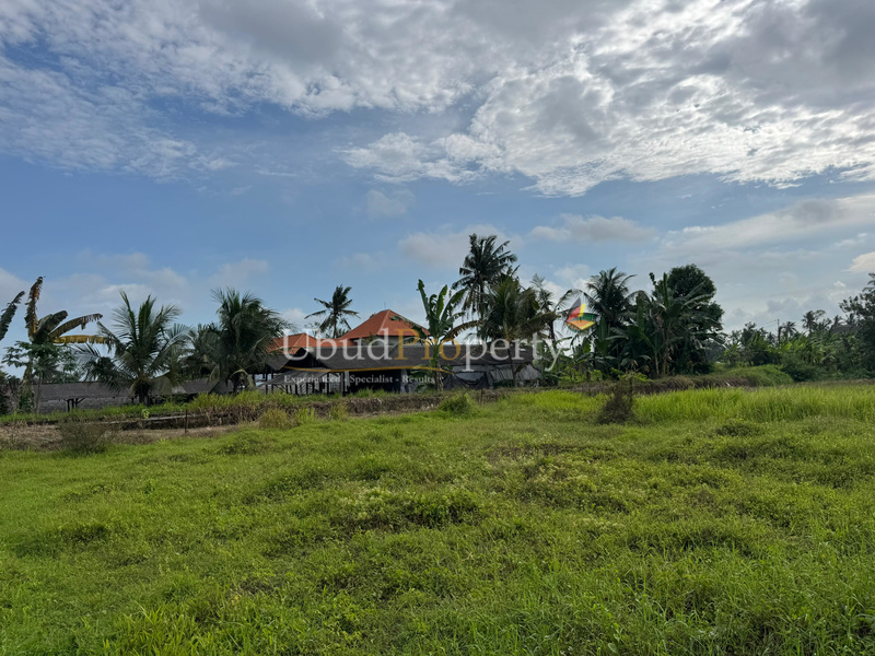 Ubud Property Land For Sale in Ubud Bali