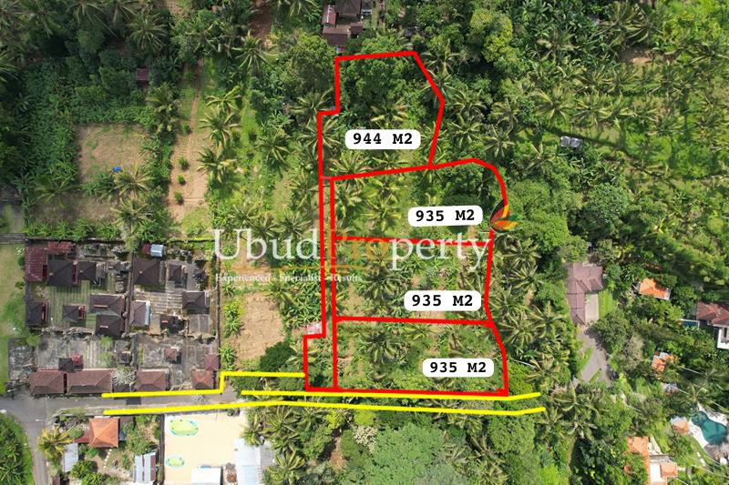Ubud Property Land For Sale in Ubud Bali