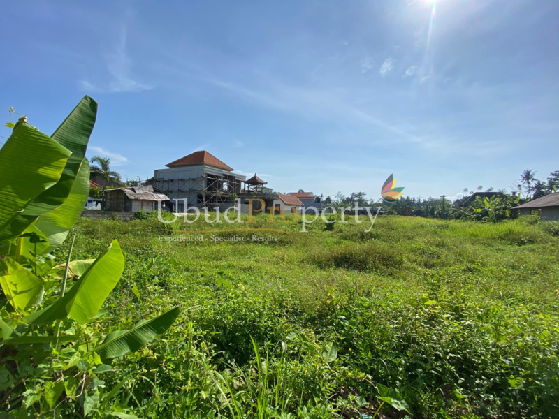 Ubud Property Land For Lease in Ubud Bali