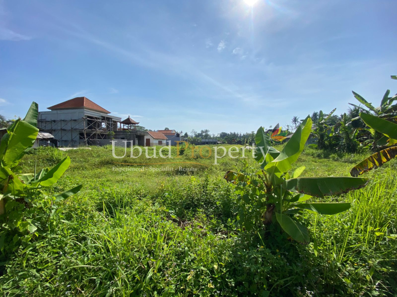 Ubud Property Land For Lease in Ubud Bali
