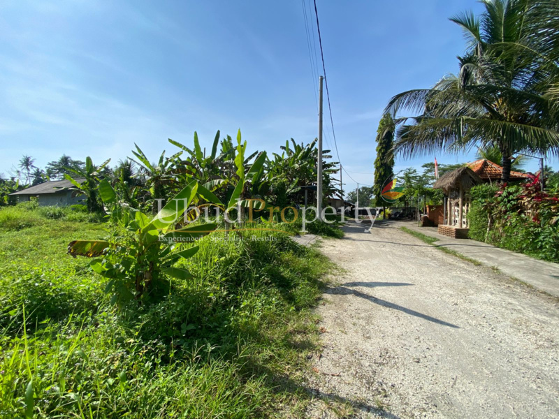 Ubud Property Land For Lease in Ubud Bali