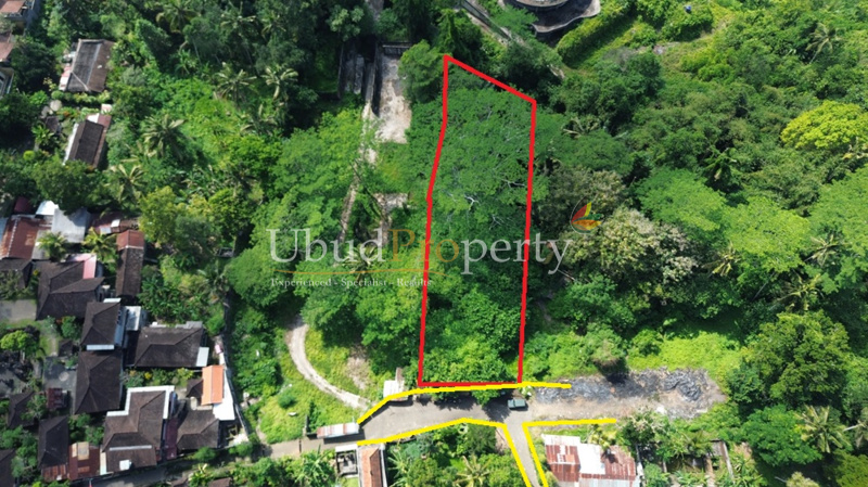 Land For Sale Leasehold in Ubud Bali