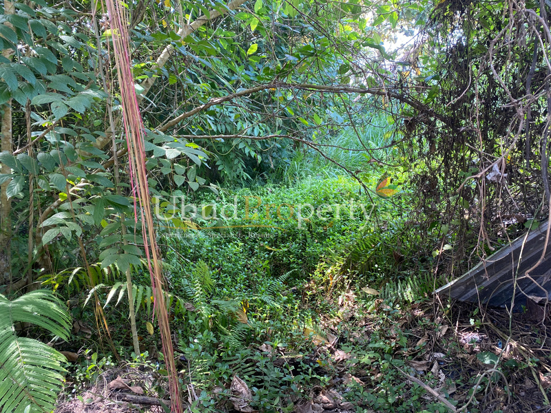 Ubud Property Land For Sale in Ubud Bali
