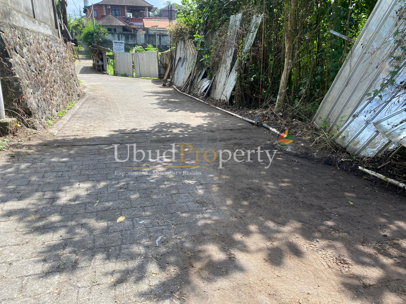Ubud Property Land For Sale in Ubud Bali
