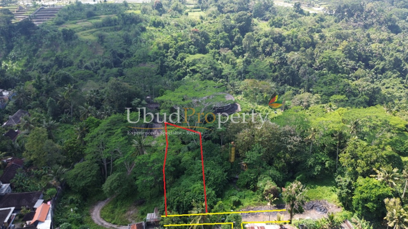 Ubud Property Land For Sale in Ubud Bali