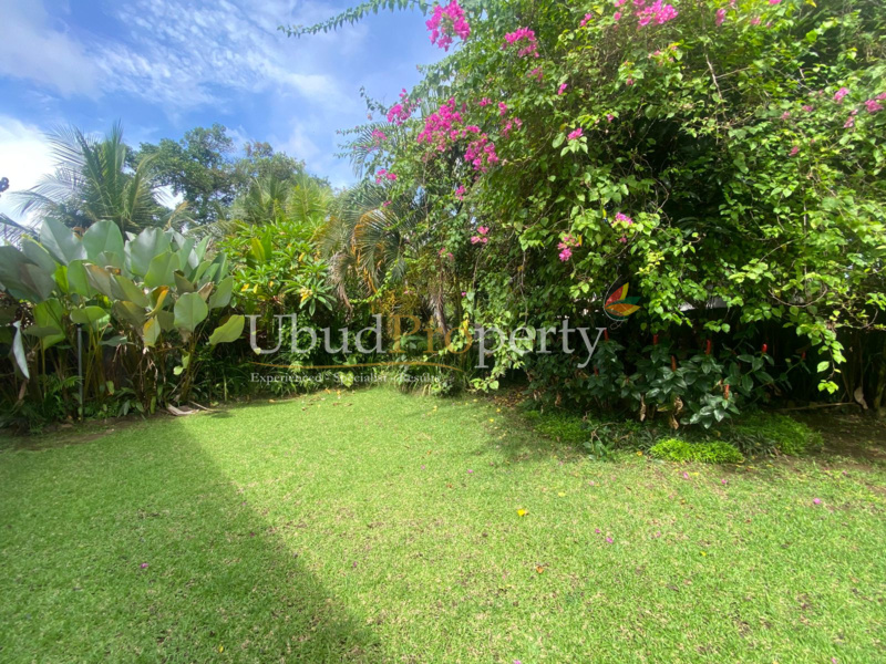 Ubud Property Villa For Sale in Ubud Bali