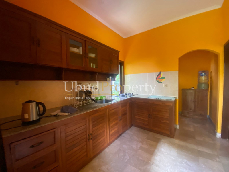 Ubud Property Villa For Sale in Ubud Bali