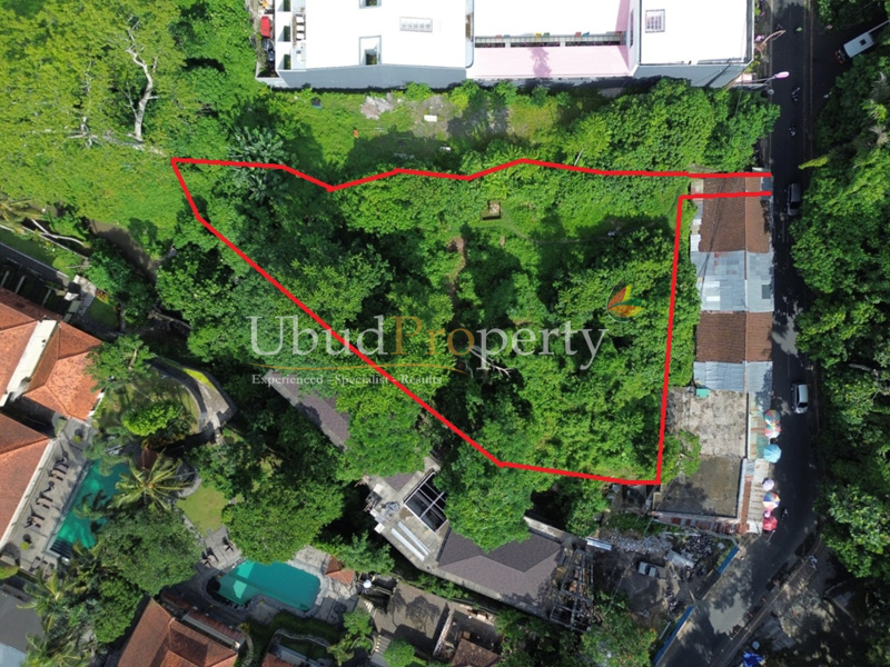 Land For Sale Leasehold in Ubud Bali