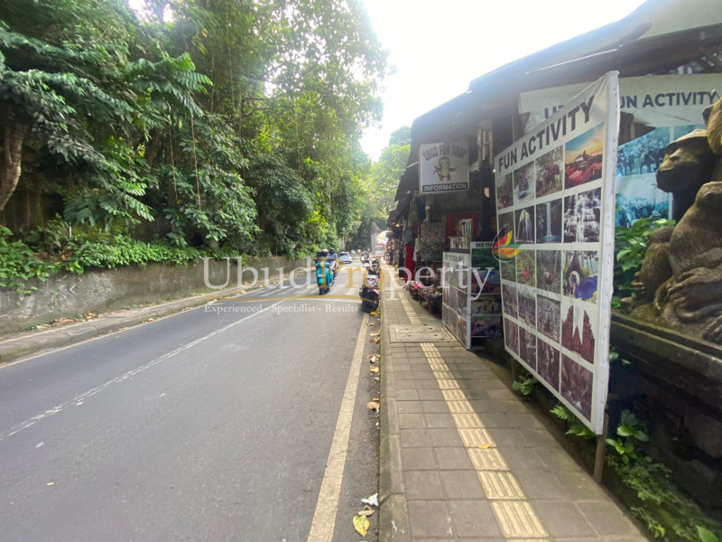 Ubud Property Land For Lease in Ubud Bali