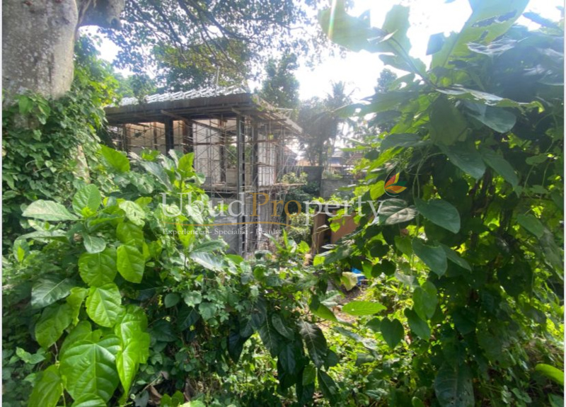 Ubud Property Land For Lease in Ubud Bali