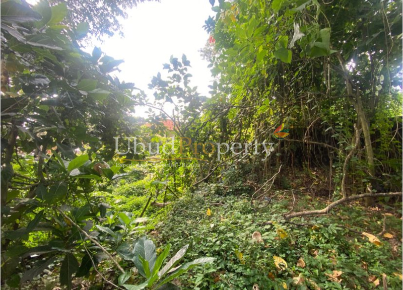 Ubud Property Land For Lease in Ubud Bali