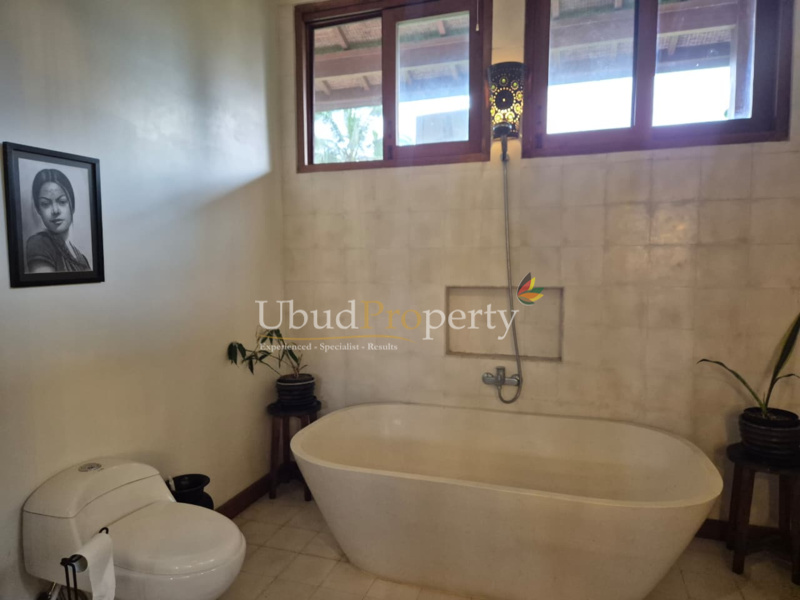 Ubud Property Villa For Sale in Ubud Bali