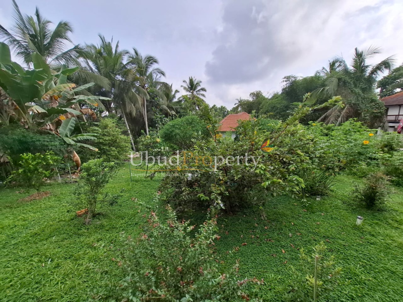 Ubud Property Villa For Sale in Ubud Bali