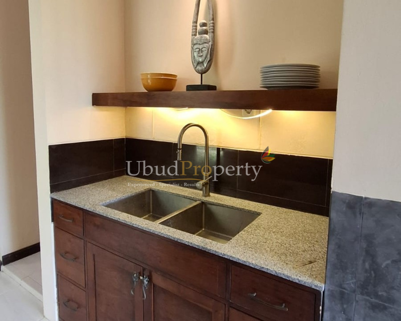 Ubud Property Villa For Sale in Ubud Bali